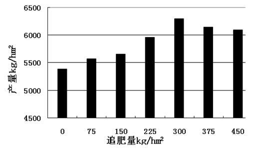 今年小麦起身期与拔节期管理